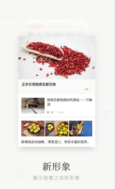 陇蜀之城安卓app下载-陇蜀之城软件正版下载v2.0.1