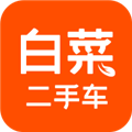 白菜二手车app