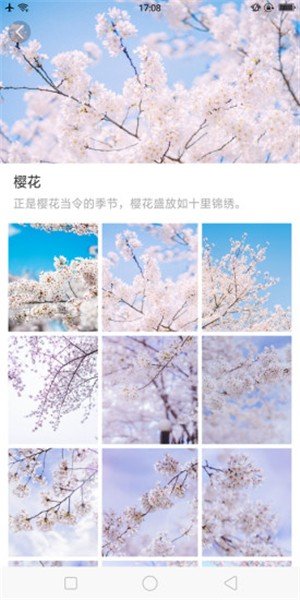 大脚壁纸免登录下载-大脚壁纸app下载v1.0.0
