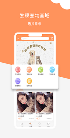 栖宠v1.0.2客户端下载-栖宠v1.0.2最新版下载v1.1.6