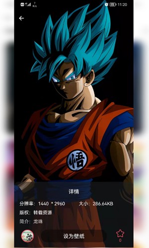 乖咔壁纸官网版下载-乖咔壁纸软件下载v1.0.0