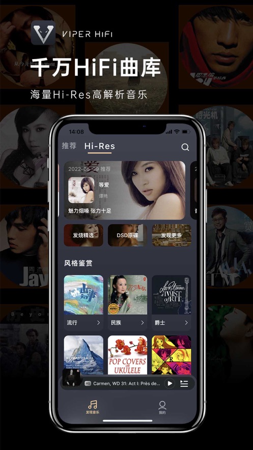 VIPER HiFi app截图3