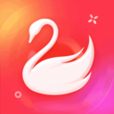天鹅到家家政服务app最新版