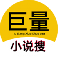 巨量小说搜app