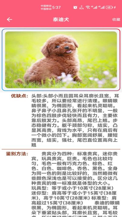 宠物宝宝大全app官方版安卓版下载-宠物宝宝大全app官方版手机版下载